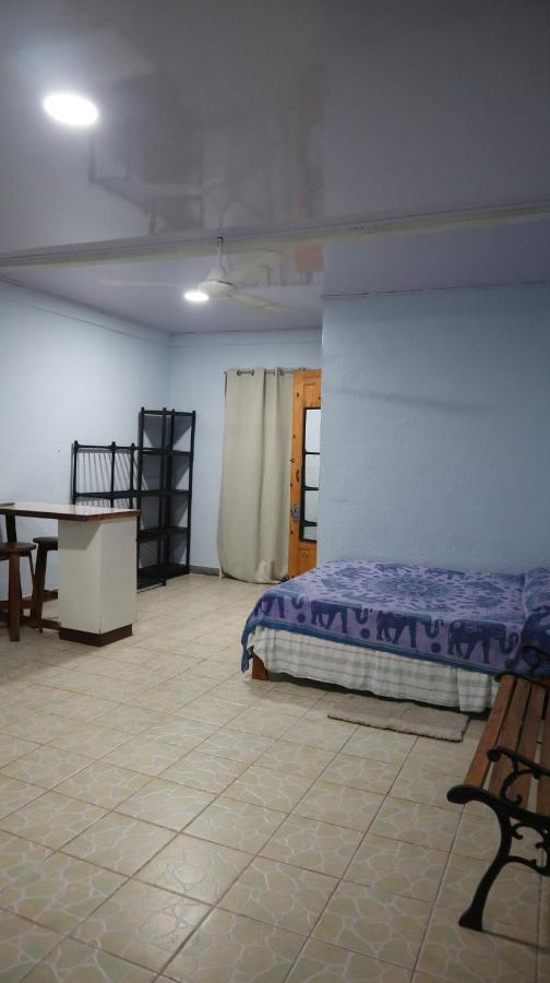 Blue Morpho House B&B Manuel Antonio Exterior foto