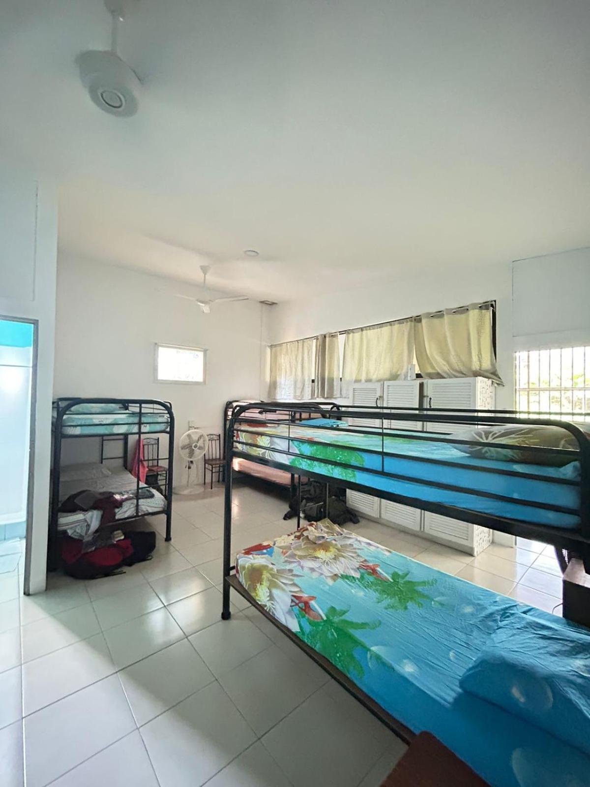 Blue Morpho House B&B Manuel Antonio Exterior foto
